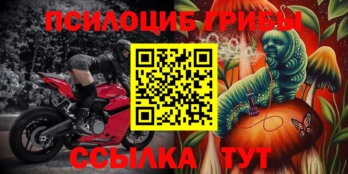 Псилоцибиновые грибы MAGIC MUSHROOMS Можга