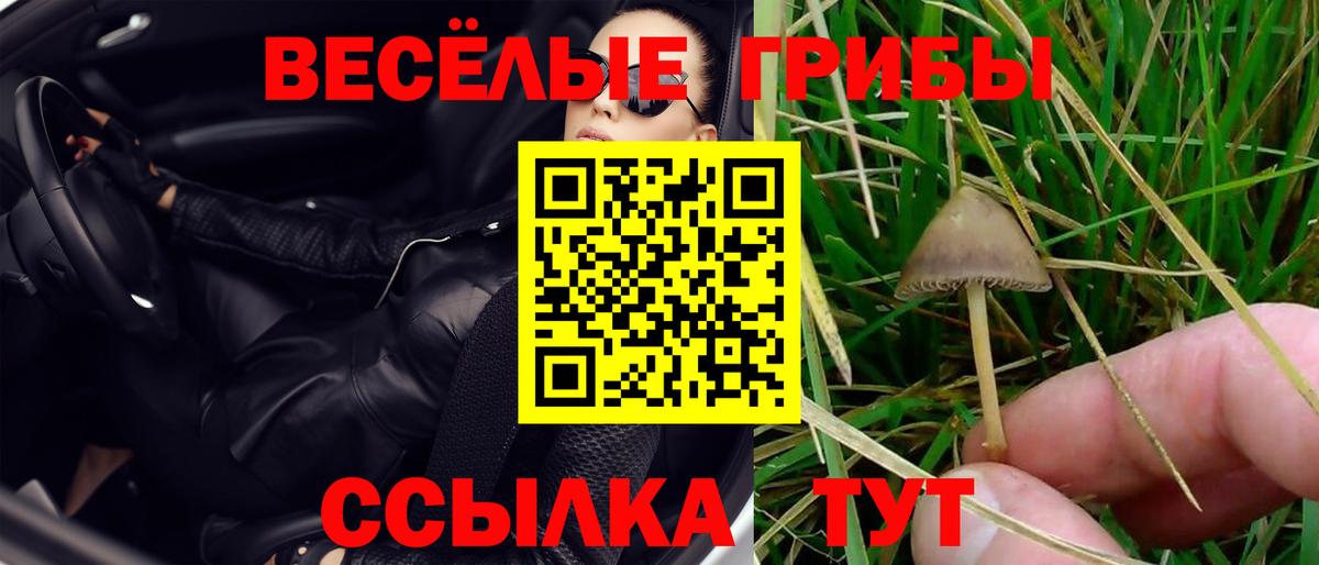 Псилоцибиновые грибы Psilocybine cubensis  Вход с VPN  Псилоцибиновые грибы GOLDEN TEACHER  Можга 